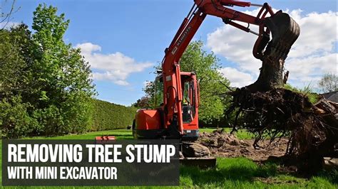 can a mini excavator remove trees|removing trees with excavators.